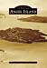 Angel Island (Images of America (Arcadia Publishing))