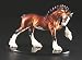 Starlite Originals Limited Edition Clydesdale