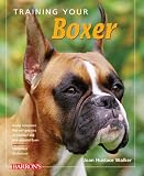 Training Your Boxer (Training Your Dog)
