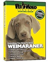 WEIMARANER DVD: + Dog & Puppy Training Bonus