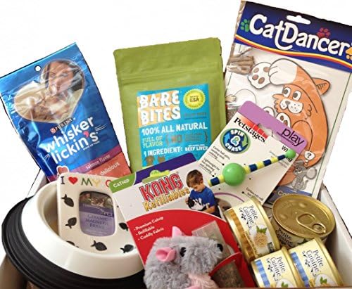 Meow! Kitty Cat Gift Box (Treat Me)