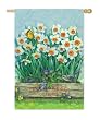 Paperwhite Bulb Box Silk Reflections Garden Size Flag