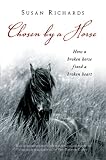 Chosen by a Horse 12-copy Floor Display
