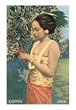 Javanese Girl Picking Coffee Cuisine Art Poster Print, 13x18