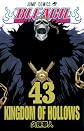 Bleach, Vol. 43 (Bleach (Graphic Novels))