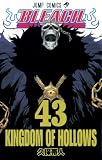 Bleach Volume 43 (in Japanese)