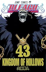 Bleach, Vol. 43 (Bleach (Graphic Novels))