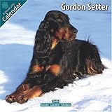 Gordon Setter 2010 Wall Calendar #10114-10