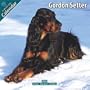 Gordon Setter 2010 Wall Calendar #10114-10
