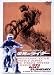栄光のライダー [DVD]