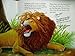 The Lion and The Mouse Vietnamese/English Children's Bilingual Book