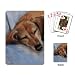 dachshund46 - Limited Edition Violano Playing Cards Sleeping Dachshund Dog