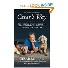 Cesar's Way: The Natural, Everyday Guide to Understanding and Correcting Common Dog Problems