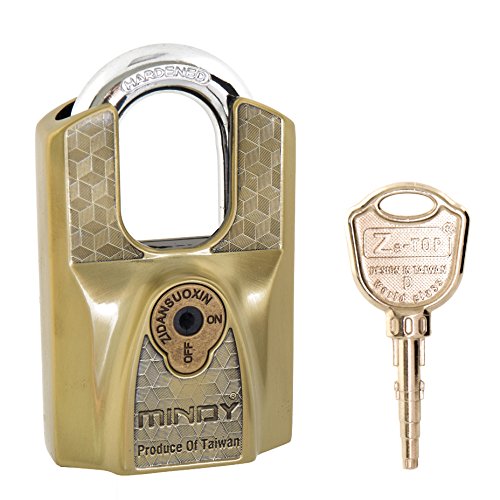 Mindy Lock with Keys Zinc Alloy Keyed Different Padlock,1Pack, AF1260