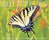 Butterflies of North America 2012 Calendar