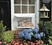 Pet Supplies : PetSafe Cat VerandaTM Cat Door Window-mounted Cat Flap Door
