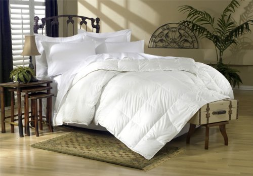 800TC Hungarian GOOSE DOWN Comforter, Baffle Box Design, 100% Luxurious Egyptian Cotton Cover, Size - Queen