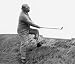 1920 photo A. Mitchell Palmer (Golf)