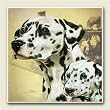 AbsorbaStone Coaster set~ Dalmation ~4 Tile Drink Coasters ~ code 809C