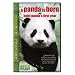 A Panda Is Born/Baby Panda's First Year