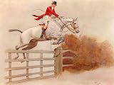 Timber Topper by Cecil Aldin. Size 16.00 X 12.00 Art Poster Print