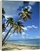 Mahe, Seychelles - 40 Inch Canvas Print (101 cm) by Robert Harding
