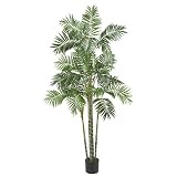 6 &acute; Silk Areca Palm Tree - B003ASMJW6