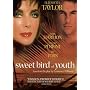 Sweet Bird Of Youth [1989] [DVD]