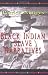 Black Indian Slave Narratives (Real Voices, Real History) (Real Voices, Real History Series)
