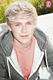 One Direction Niall Maxi Poster 61x91.5cm