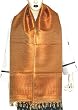 Scarves Wrap Premium Silk Designers Accessories 22 x 72 inches