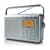 Coby CX789 Digital AM/FM/NOAA Radio with Dual Alarms, silver