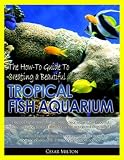 51isamVn3cL. SL160  Aquariums 101: The How To Guide to Creating a Beautiful Tropical Fish Aquarium