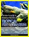 51isamVn3cL. SL75  Tropical Fish Tank Service