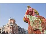 Photographic Prints of Puppy, the dog flower sculpture by Jeff Koons, Bilbao, Basque country, Spain, from Robert Harding