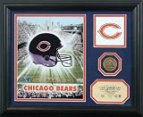Chicago Bears  Team Pride Photo Mint