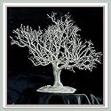 Wire Bonsai Tree Sculpture - Mighty Oak