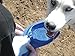 Drinkwell Hydro-Go Pet Canteen
