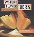 Books : Where Flavor Was Born: Recipes and Culinary Travels Along the Indian Ocean Spice Route