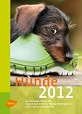 Produkt-Bild: Hunde 2012: Die wichtigsten Termine 2012. Tipps rund um Erziehung, Haltung, F&uuml;tterung u. v. m. Spiel & Spa&szlig; zu jeder Jahreszeit