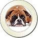 Electronics : RED BOXER DOG Tax Disc Holder