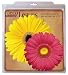 EuroQuest Imports Daisies Deco Parchment Leaves, Package of 20
