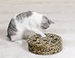 Zanies Leopard's Den Kitty Teaser - Puzzle Cat Toy