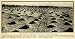 1932 Print Nitrogen Green Manure Alfalfa Montana Grain Farming Field Soil Plant - Original Halftone Print