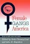 Female Gangs in America: Essays on Girls, Gangs and Gender