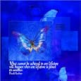 A Community Of Like Minded Butterflies