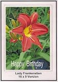 Lady Frankenstien: 16x9 Widescreen TV.: Greting Card: Happy Bithday