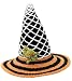 Halloween Cobweb Spider Witch Hat