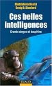 Ces belles intelligences : Grands singes et dauphins