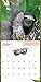Sloths Wall Calendar 2016